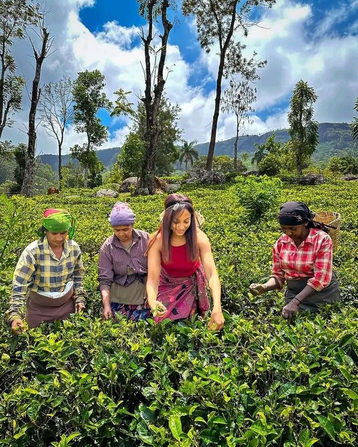 Sri Lanka destination experience preview