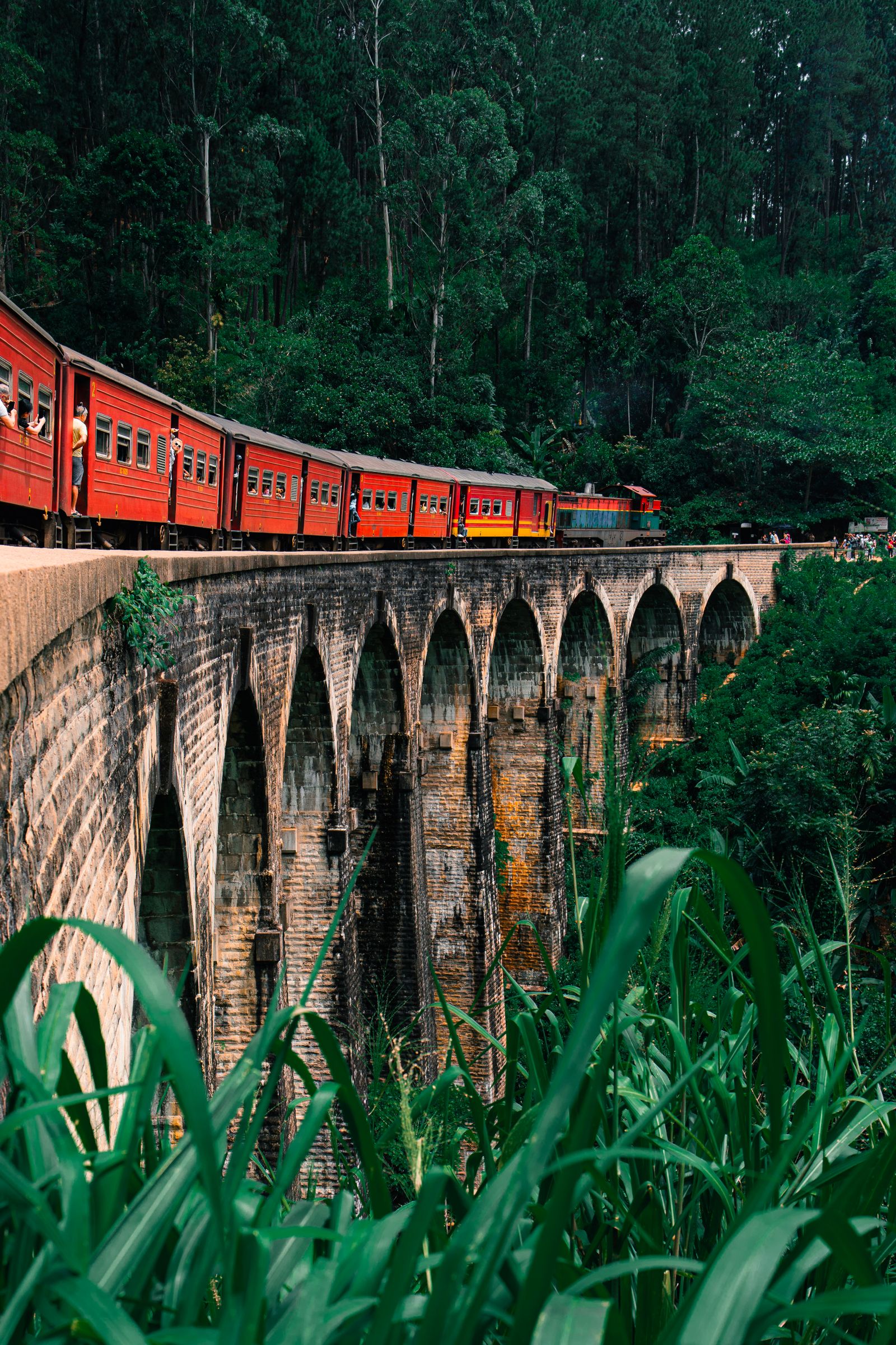Hill Country & Highlands — Sri Lanka