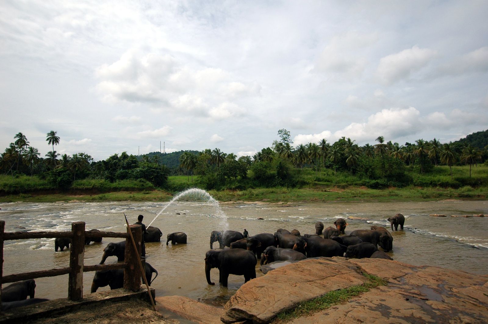 Sri Lanka destination experience preview
