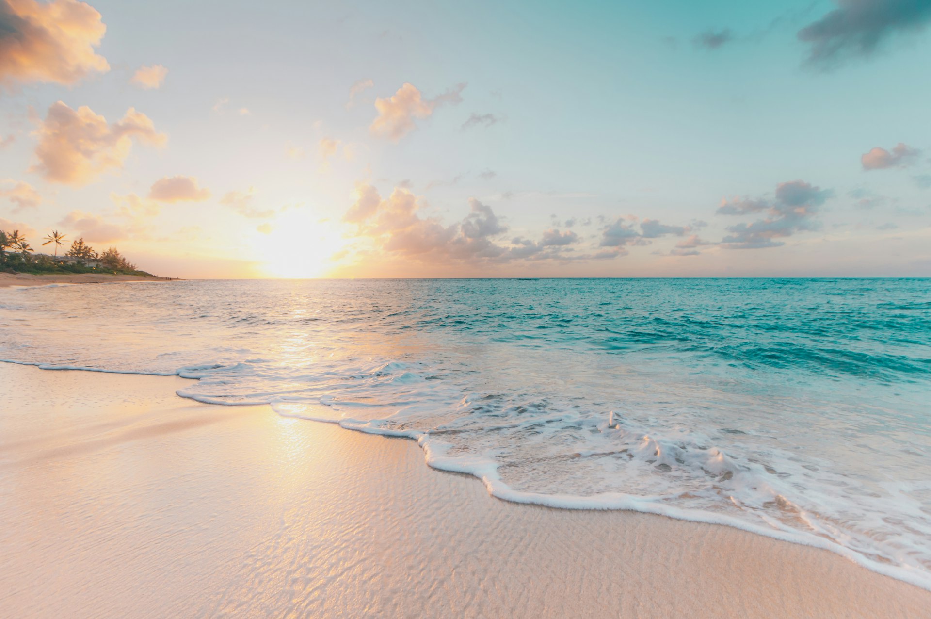 Quiet Sri Lankan shoreline and tropical trees