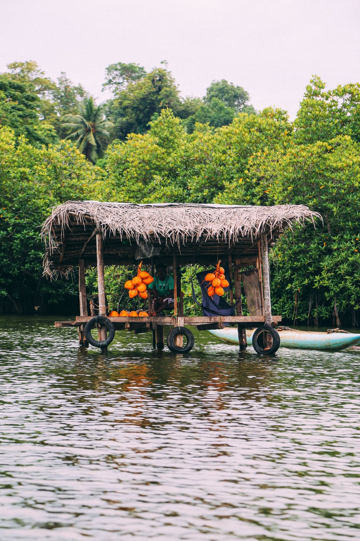 The Ultimate Sri Lanka Wildlife Odyssey highlight 10