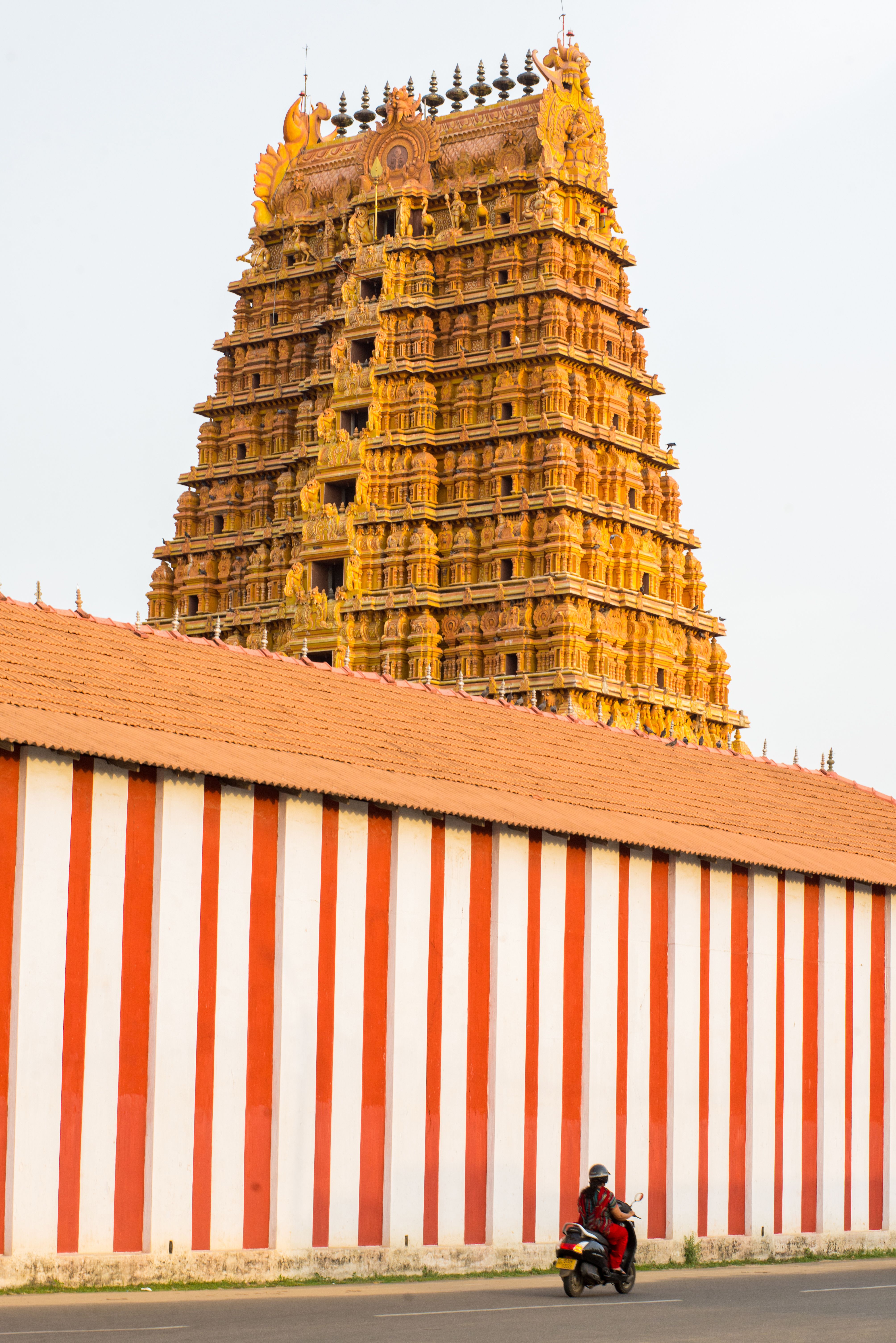 The Ultimate Sri Lanka Discovery highlight 3