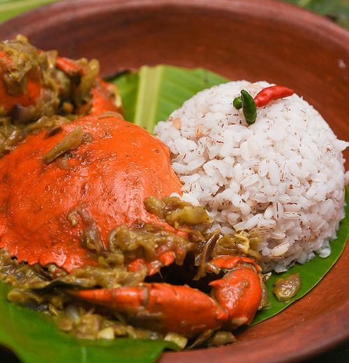 The Coastal Ceylon Odyssey highlight 3