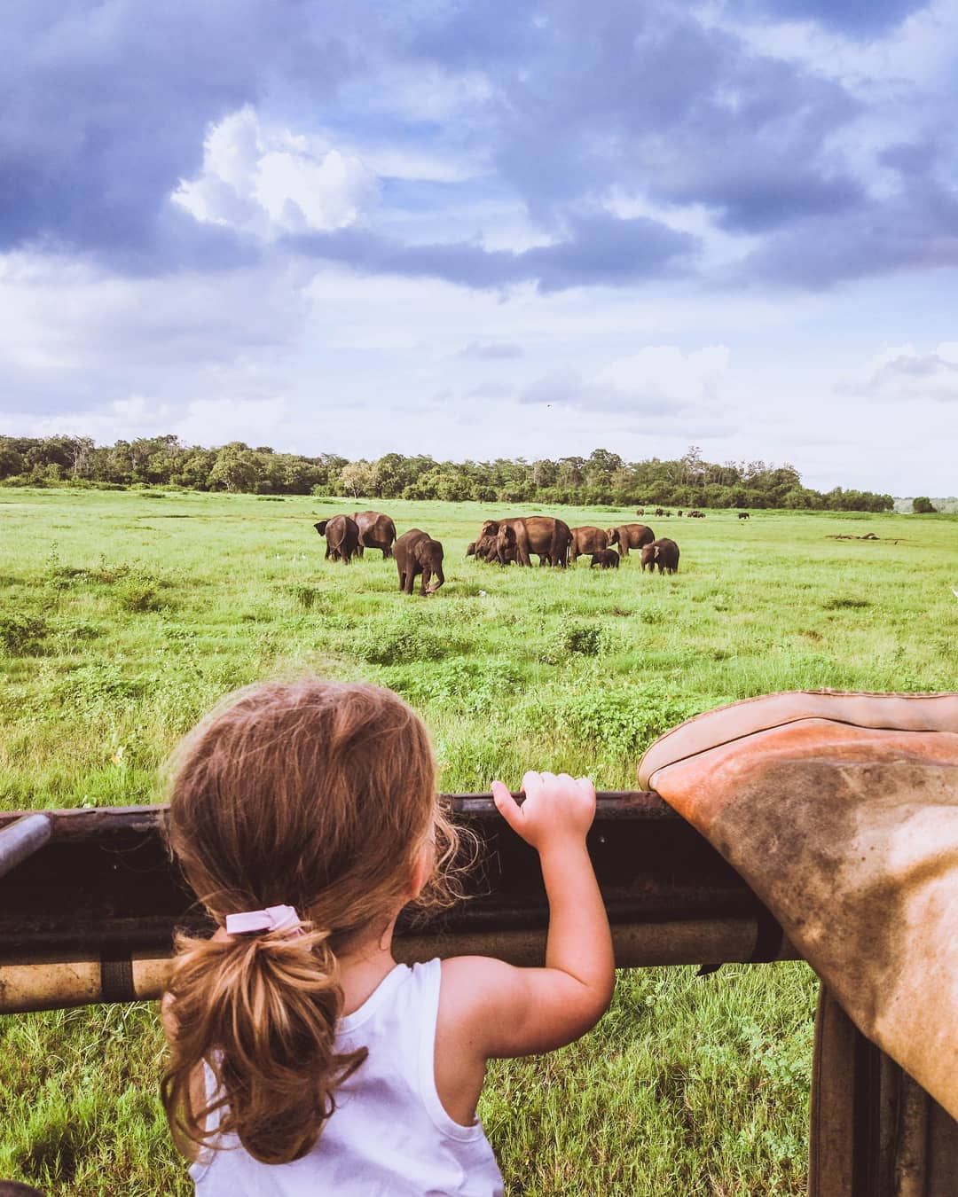 Family Adventures Across Ceylon highlight 3